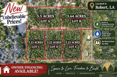 Unimproved Land in Robert, Louisiana