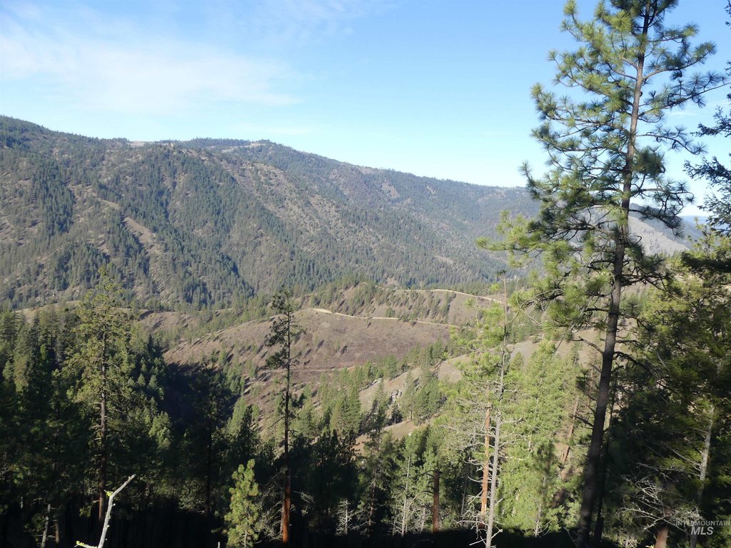 Picture 41