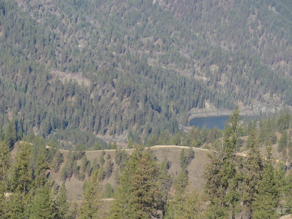 Picture 44