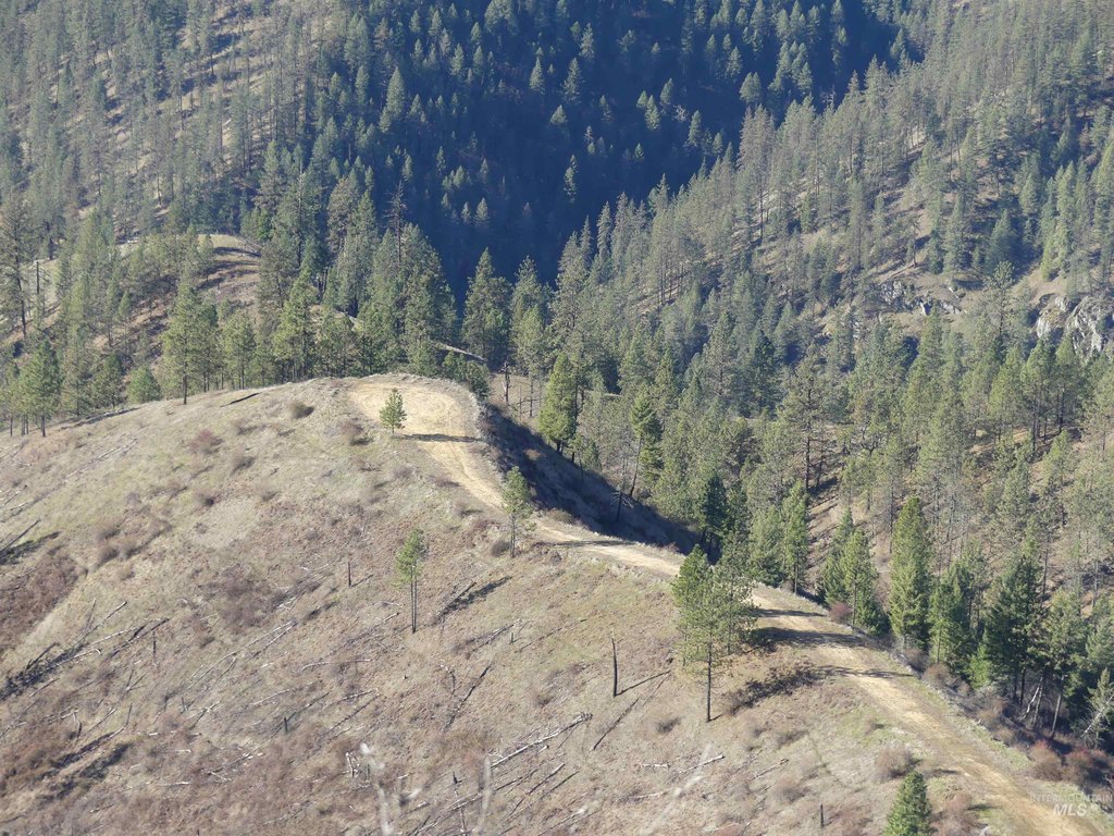 Picture 36