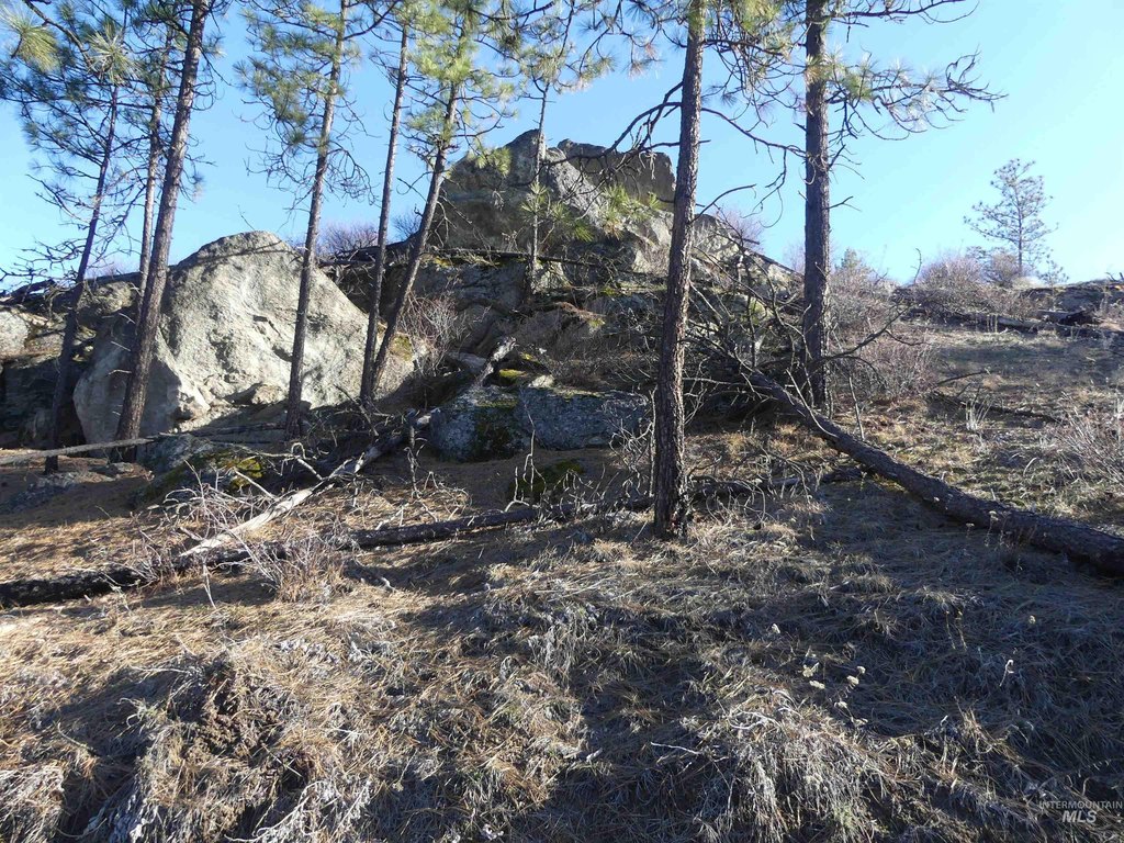 Picture 19