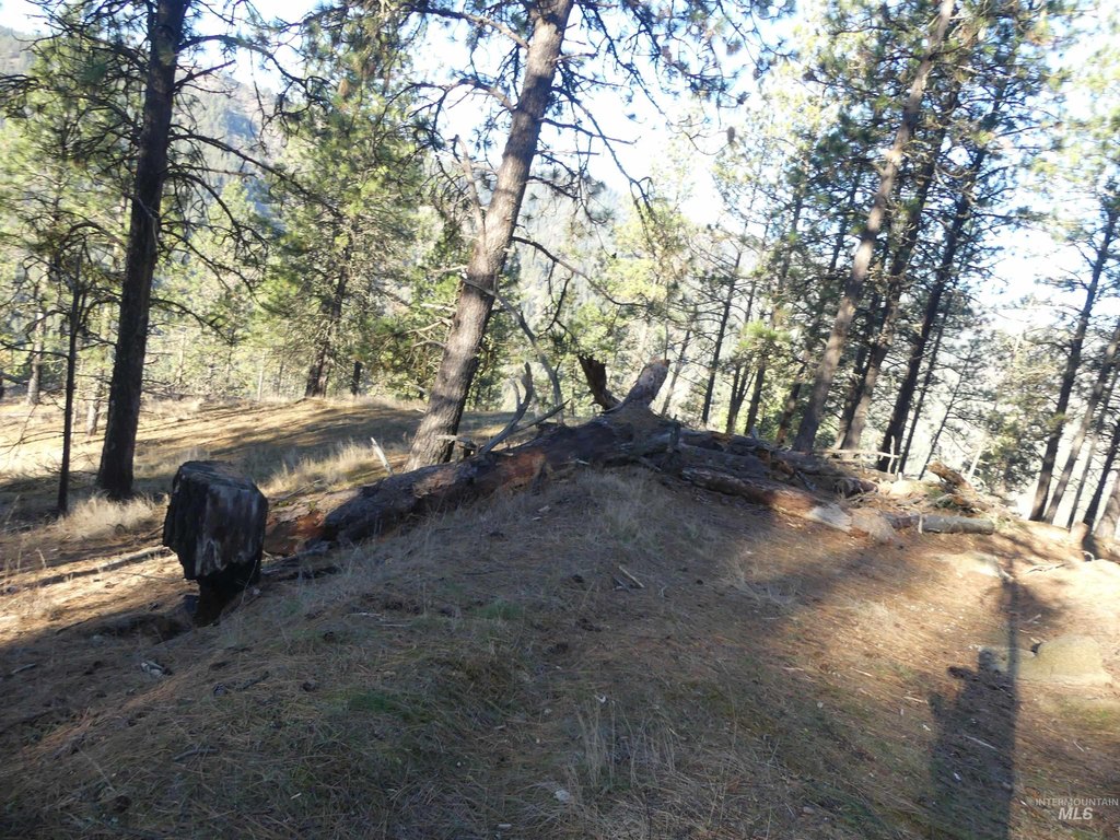 Picture 17