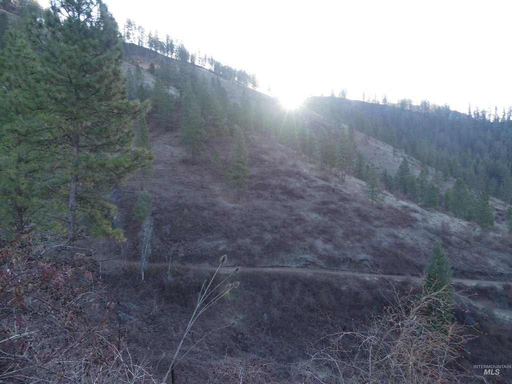 Picture 11