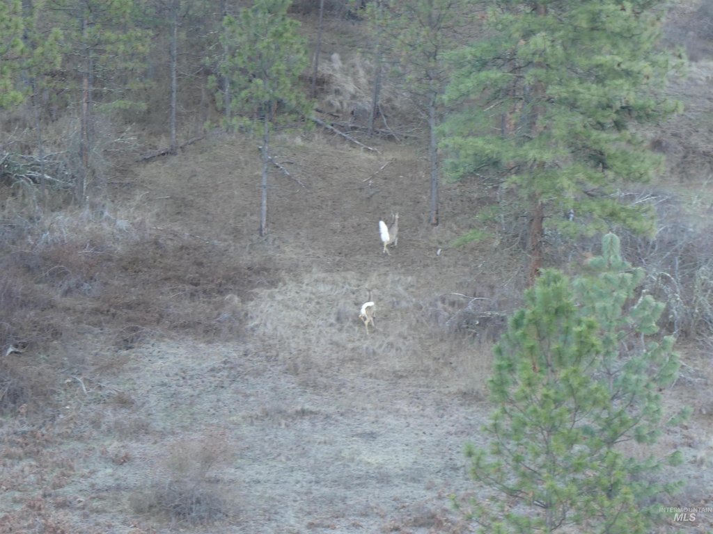 Picture 9