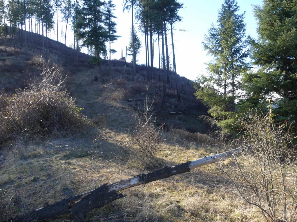 Picture 18