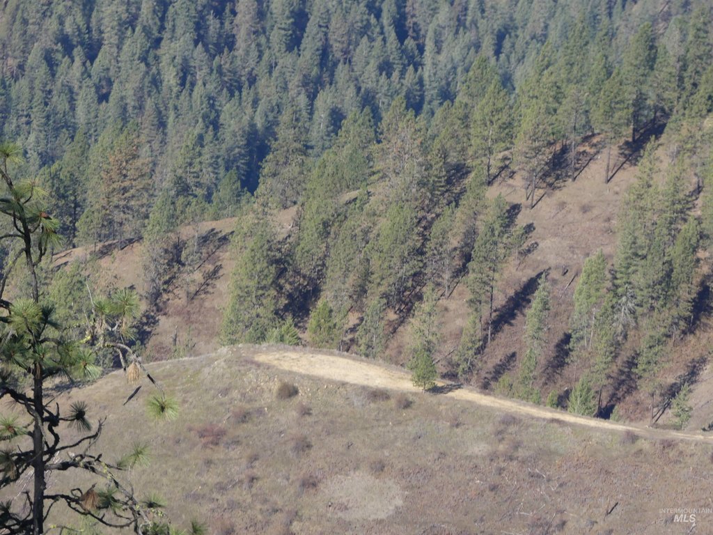 Picture 40