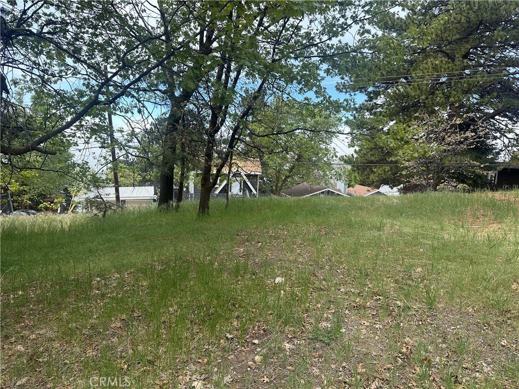 Picture 3