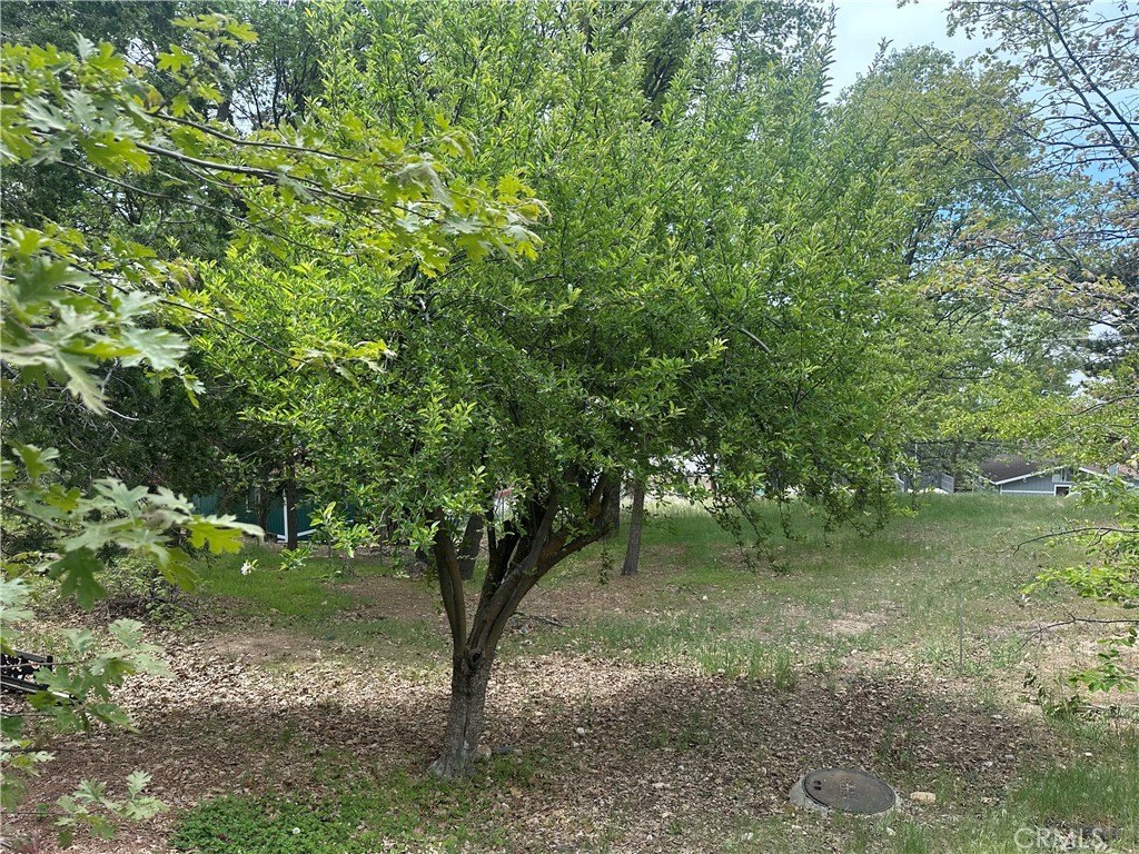 Picture 7
