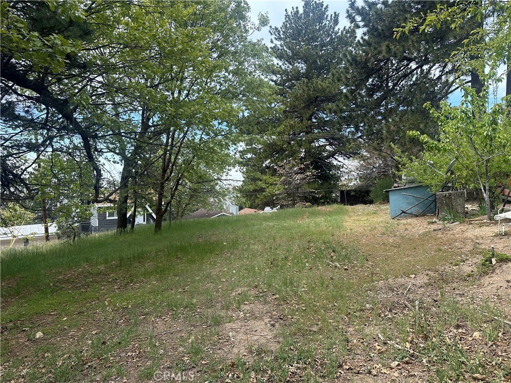Picture 4
