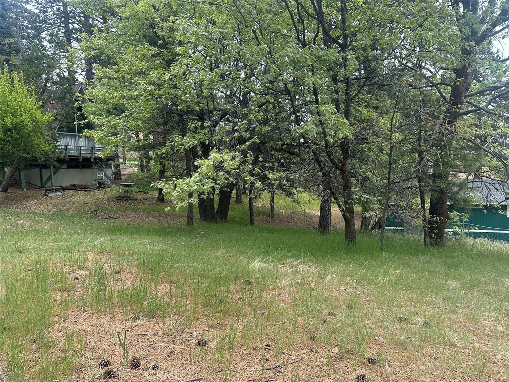 Picture 8