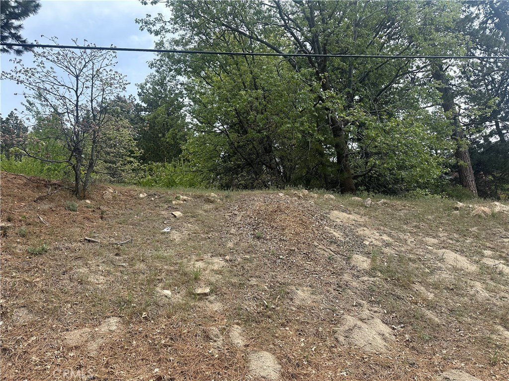 Picture 9