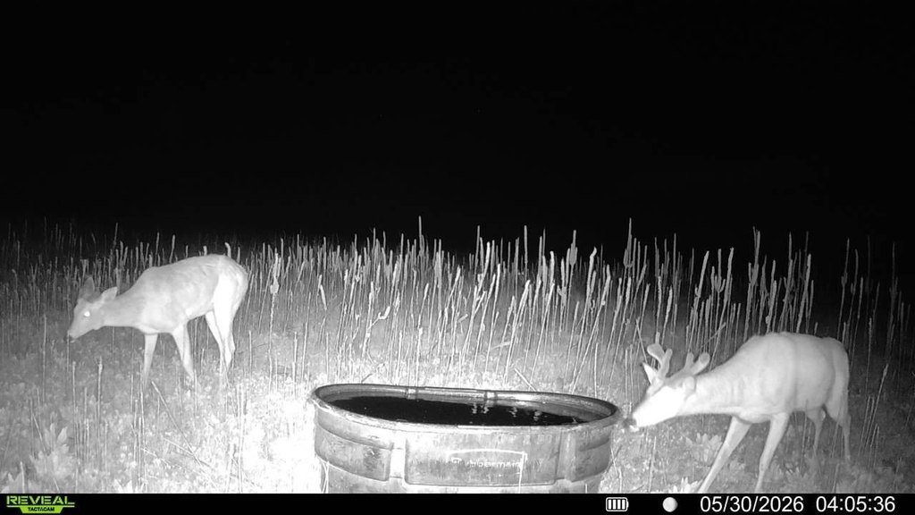 Picture 3