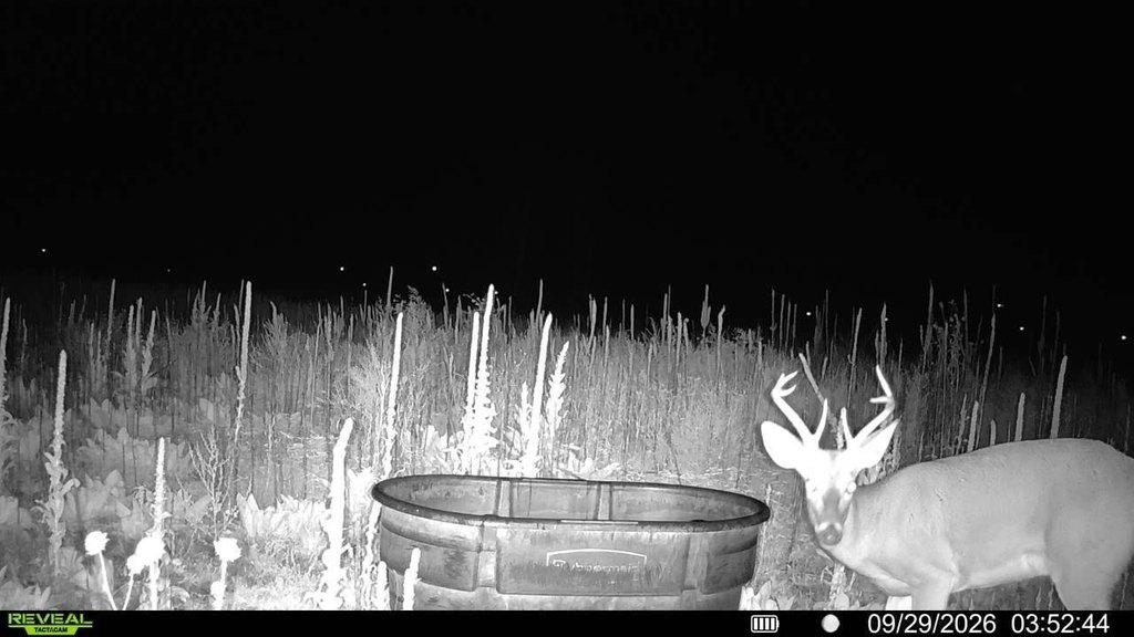 Picture 2