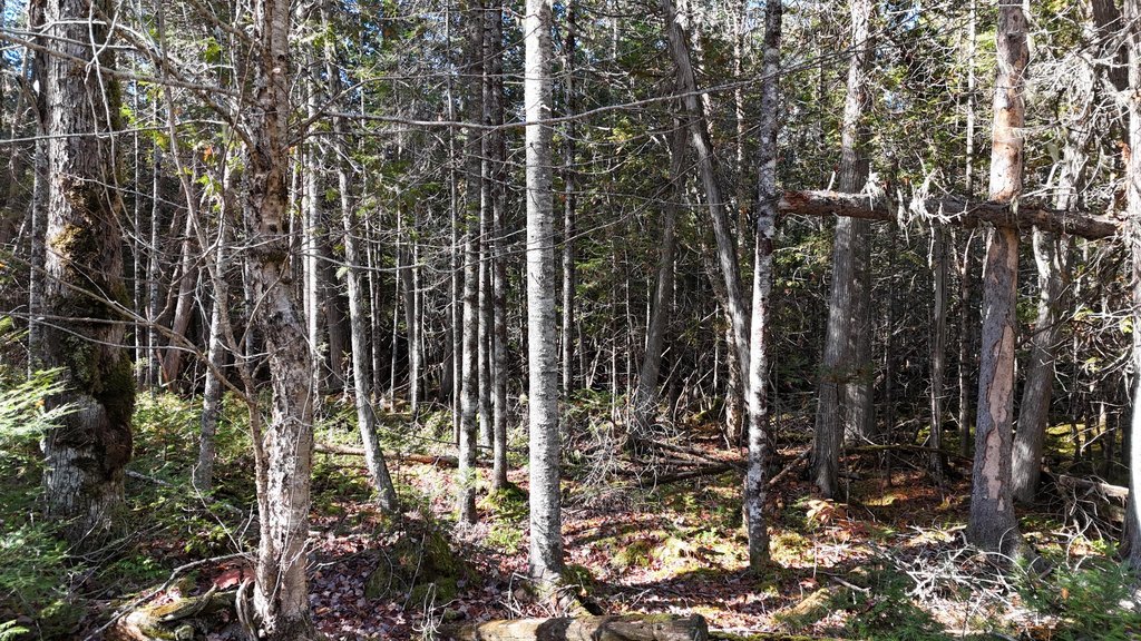 Picture 7