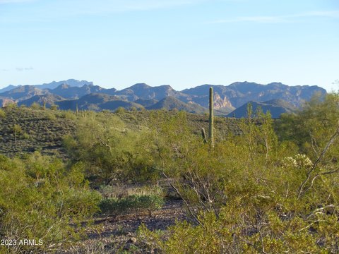 Fort McDowell Land with Views