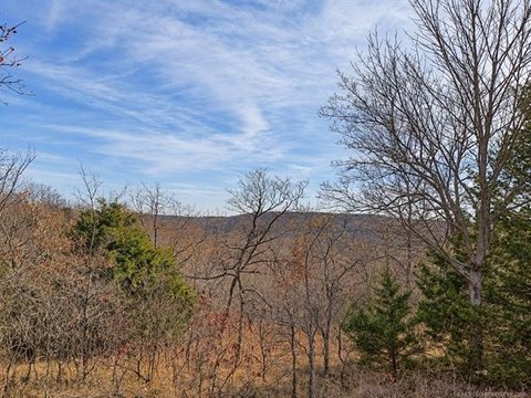 Vacant Land, Vian, OK