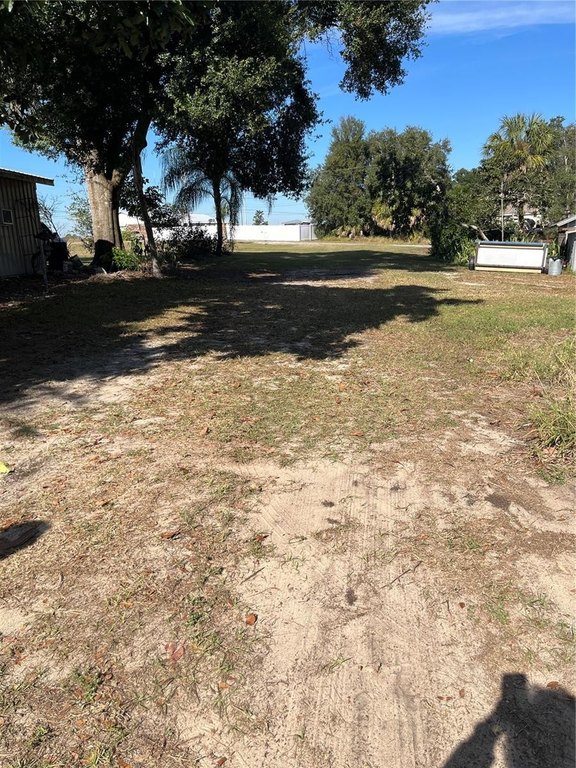 Picture 19