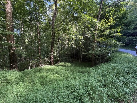 Vacant Lot, Hiawassee, GA