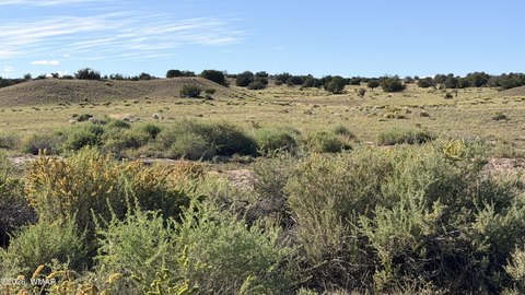 Land, St. Johns, AZ