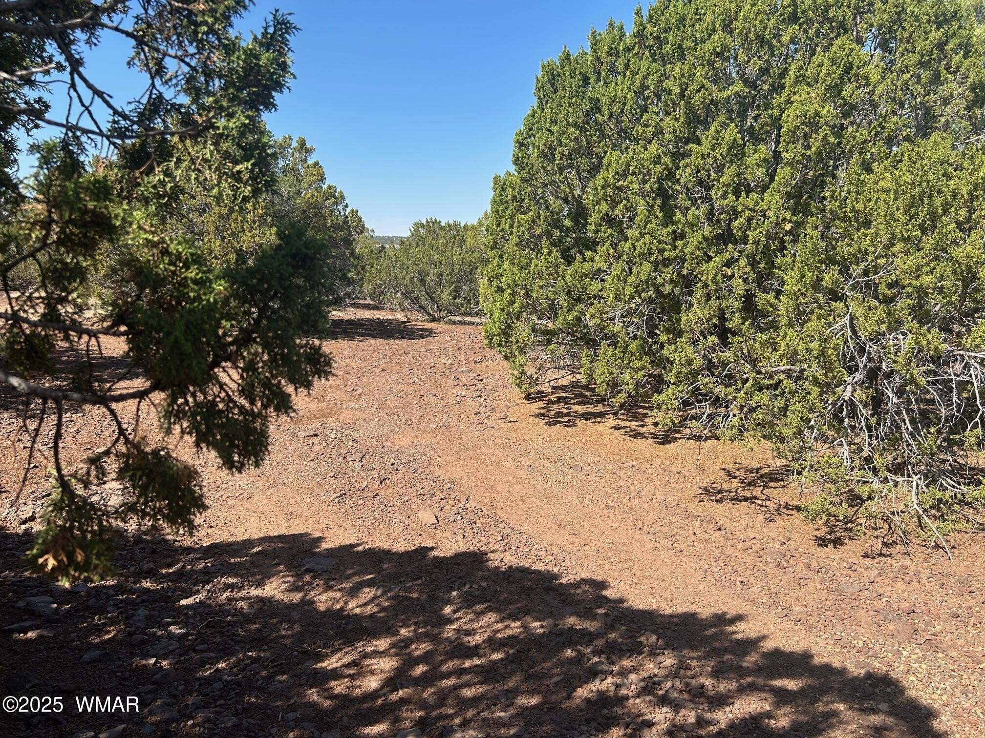 Vernon, AZ Land For Sale