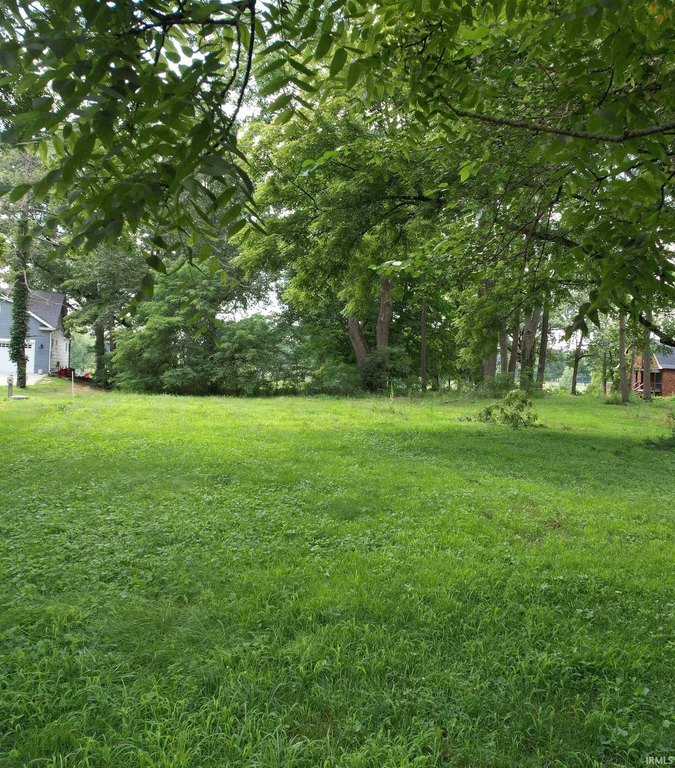 Picture 7