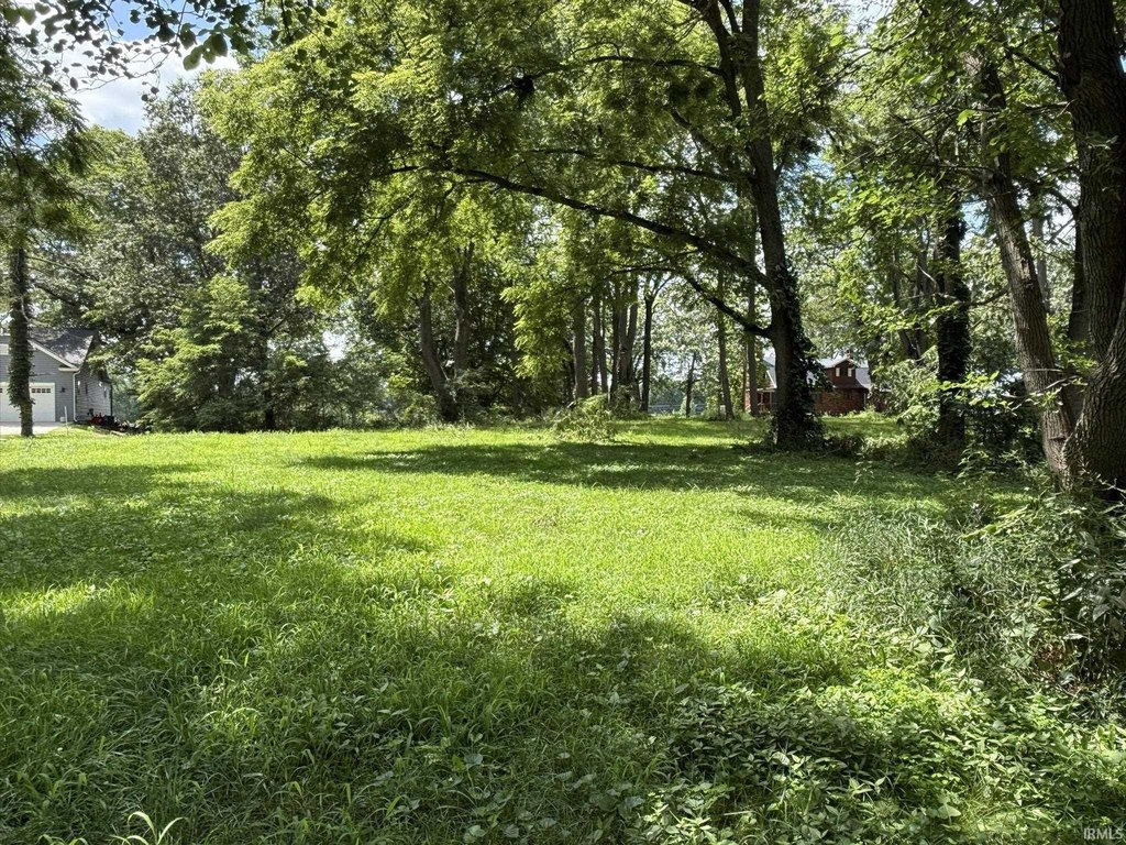 Picture 9