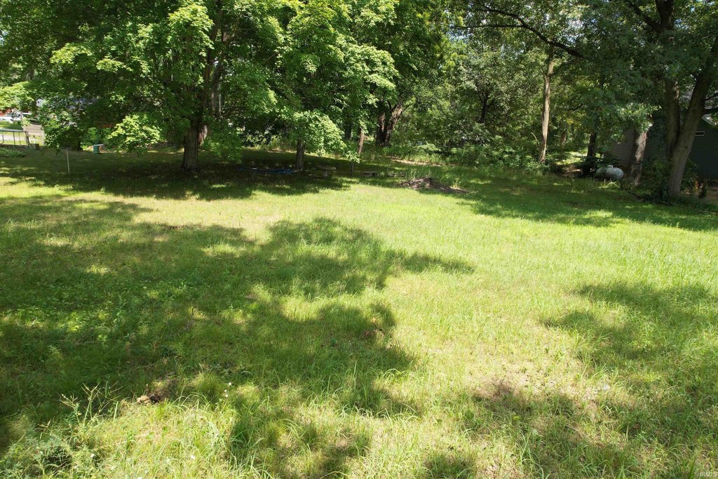 Picture 6