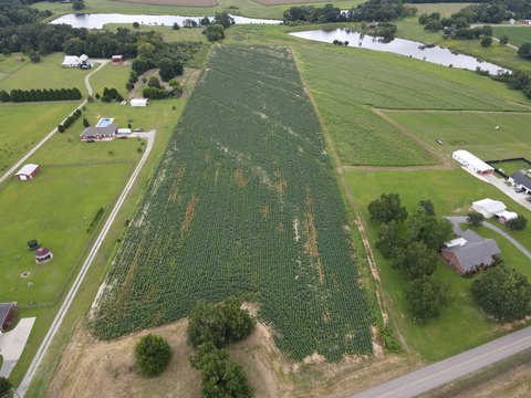 Flat Build-Ready Farmland Tract