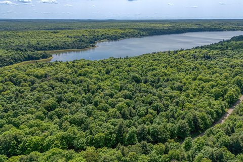 Land, Iron River, MI