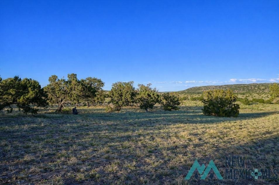 21 Acres Bordering Public Land