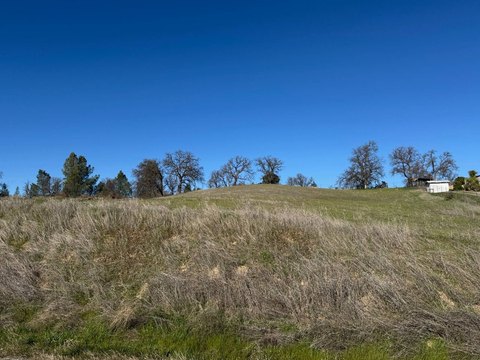 Gentle-Slope Acreage Homesite