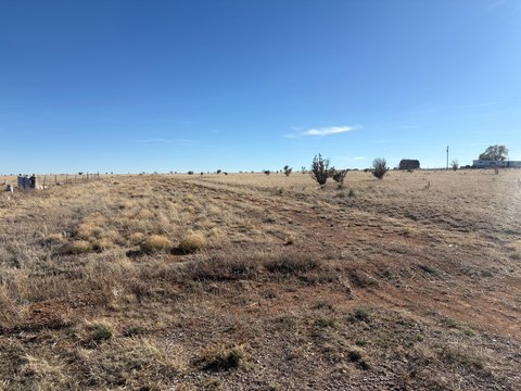LAND - Edgewood, NM