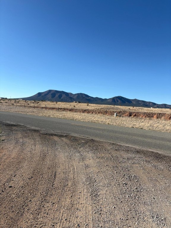 Picture 5