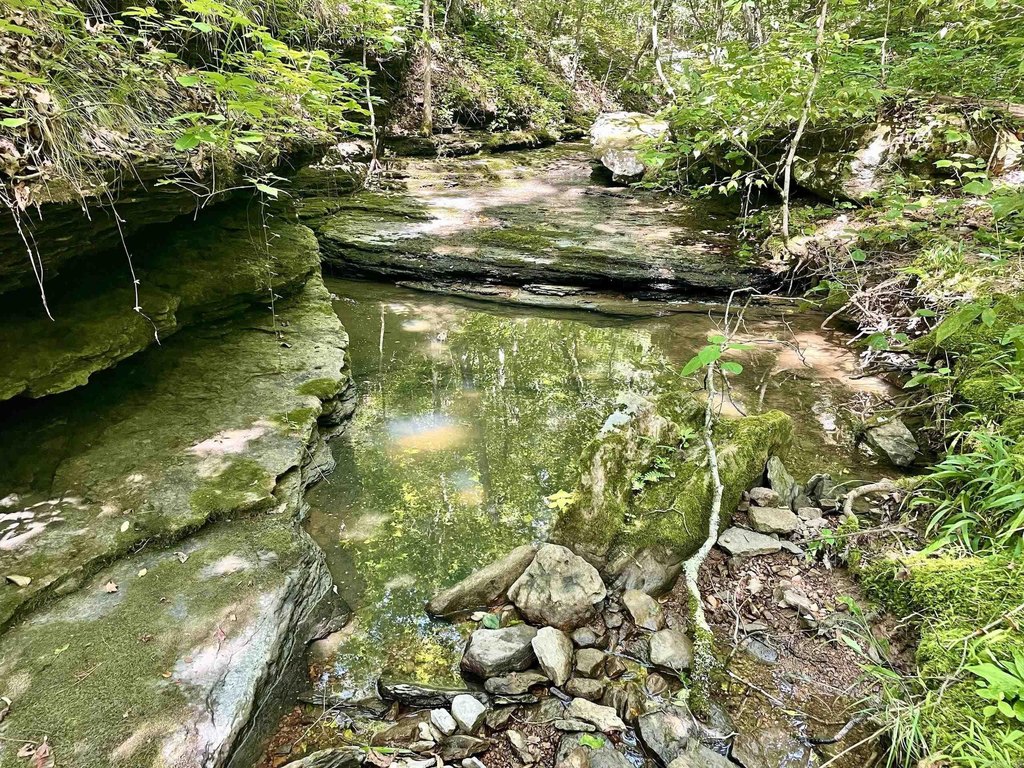Picture 28