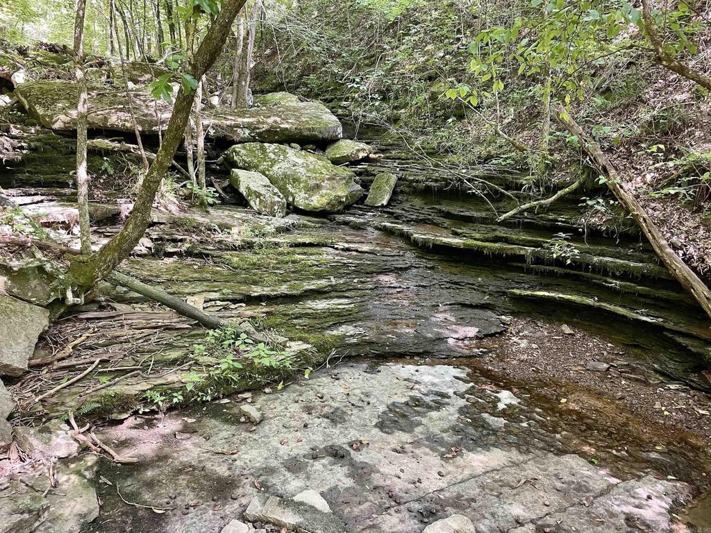 Picture 23