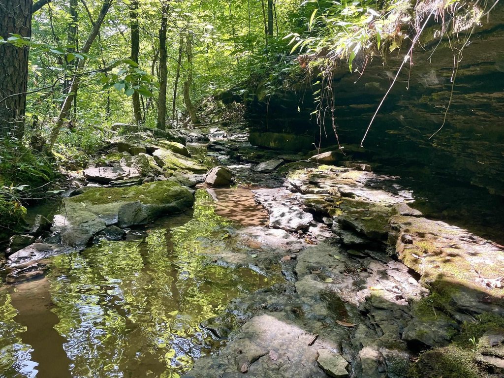 Picture 25