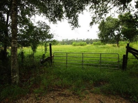 Pearl River Pasture Land