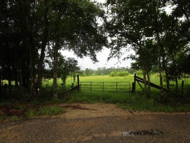 Picture 7