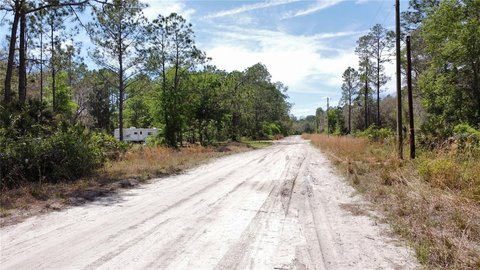 Wooded Lot in Interlachen Lakes