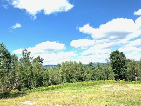LAND - Brighton, VT