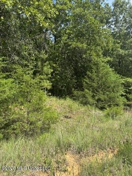 LAND - Byhalia, MS