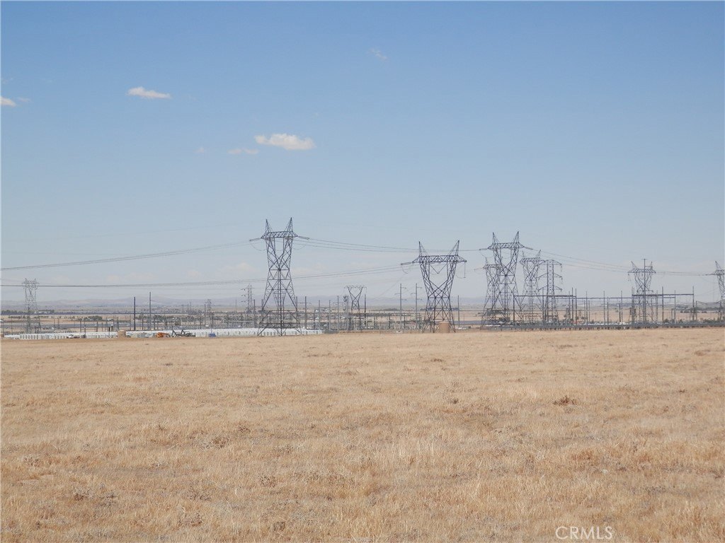 Picture 8