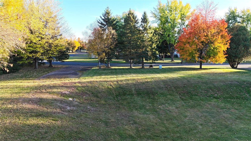 Picture 31