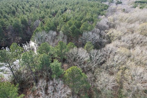 Recreational Hunting Land Tract