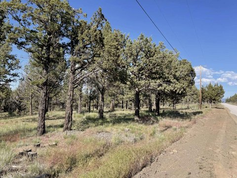 Land Parcel in Alturas, CA