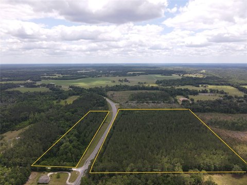 Agricultural Farmland with Planted Pine Trees