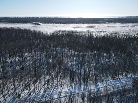 Wooded Land Near Mille Lacs