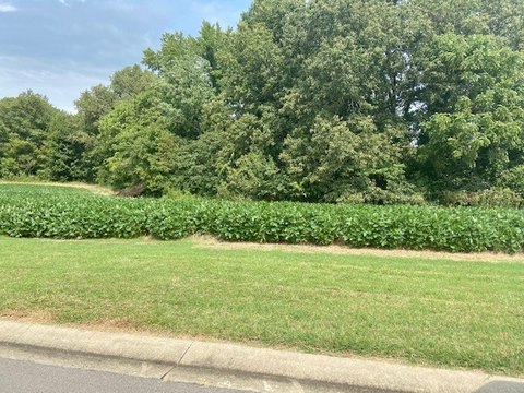 Residential Land in Timber Creek