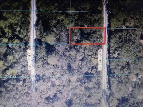 Land Near Ocala National Forest