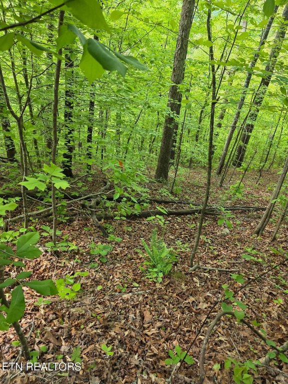 Picture 18
